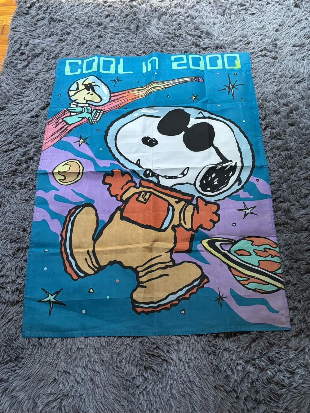 Peanuts Snoopy Cool in 2000 Y2K 41x29 Flag or Wall Hanging